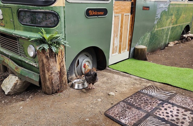 Unique, Exciting Bus Located on 63 acres with a Cosy woodheater. Luxury.