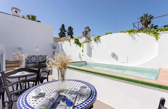 Unique Sevillian House with terrace and pool. Casa Pimienta