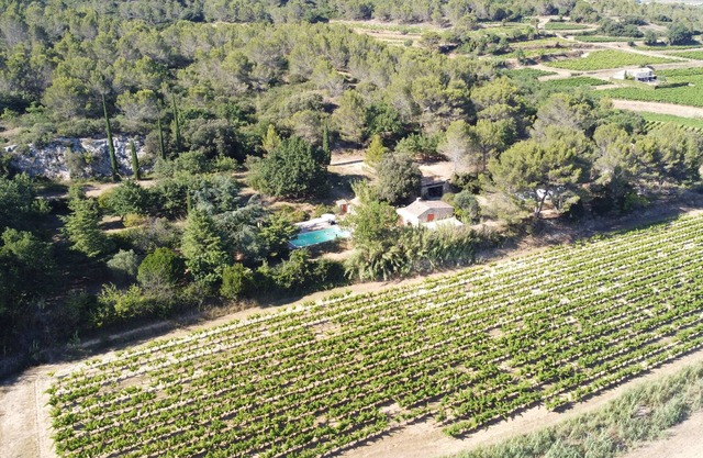 Unique view of Caesar's camp & vineyards - 2 Mazets on a hill -