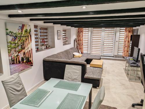 Urban Oasis - BIG stylish Apartment