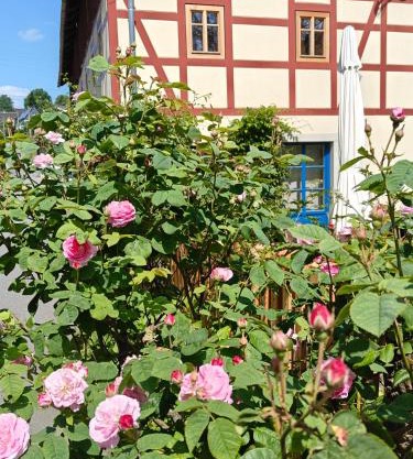 Urlaub im 200 Jahre alten Fachwerkhaus