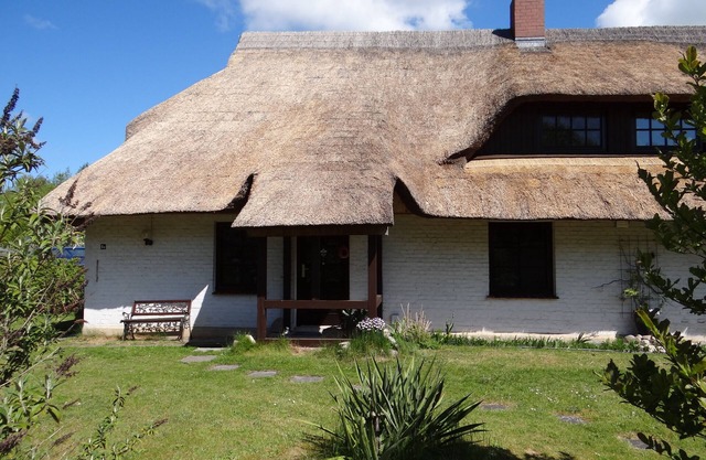 Urlaub mit dem Haustier im Wald