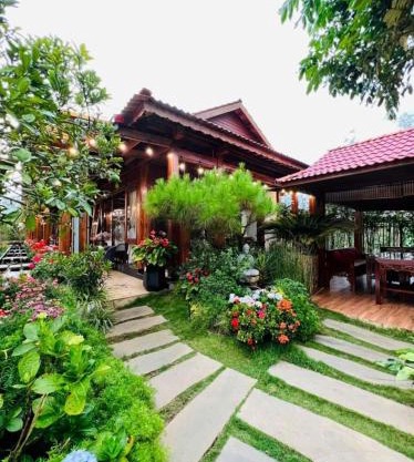 Vườn Trà HomeStay Măng Đen