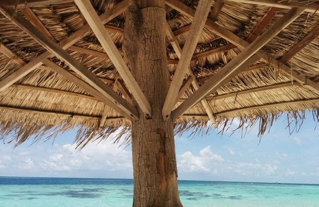 Vaali Maldives Island Escapes & Dive