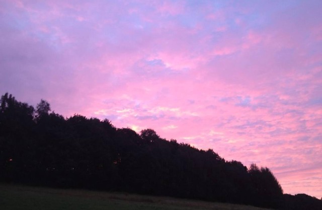 Vacation home in the climatic health resort Bad Gottleuba