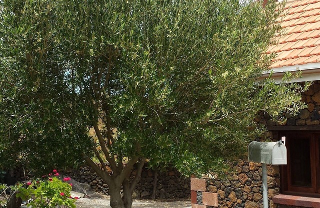 VacacionesElHierro, Casa La Casamera