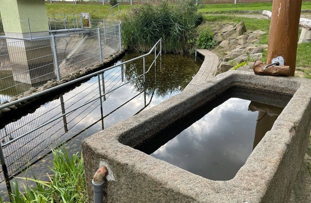 Vacation apartment/apartment for 4 guests with 68m² in Kottmar OT Walddorf (266650)