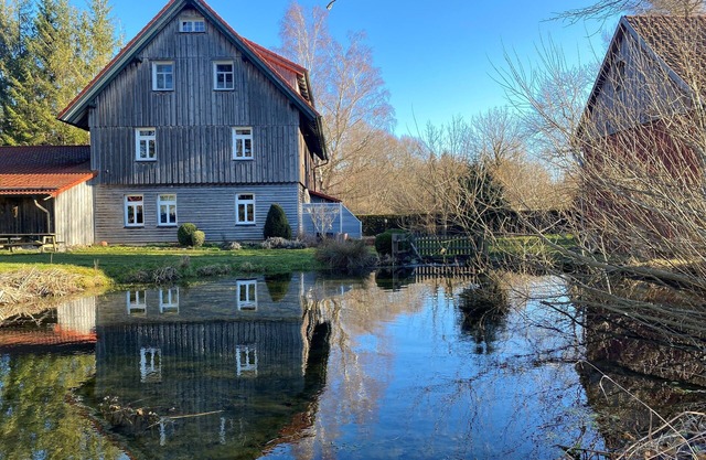 Vacation apartment Waldblick in the old forester's lodge (Harz)