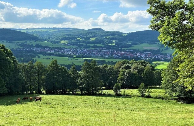 Vacation apartment "Natur-Pur" - vacation apartment with two bedrooms