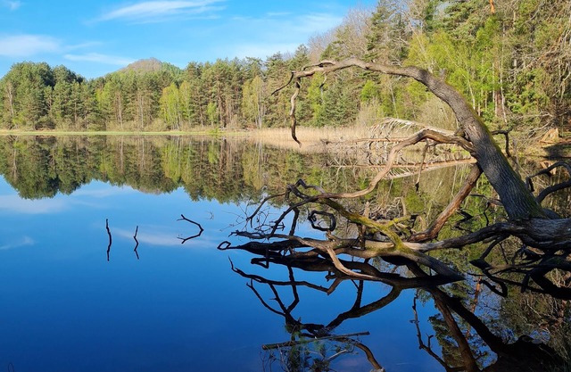 Vacation apartment Lara