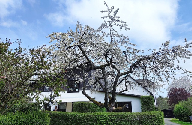 Vacation apartment/apartment for 5 guests with 74m² in Hallenberg (187959)