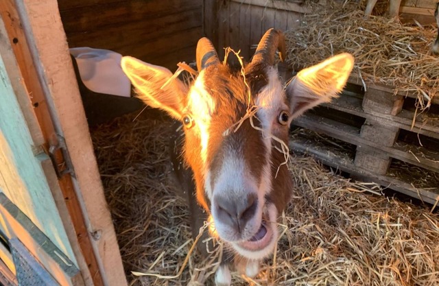 Vacation apartment at Roggenkamp