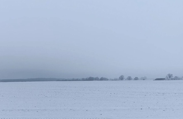 Vacation apartment/apartment for 7 guests with 85m² in Schönwald (172851)