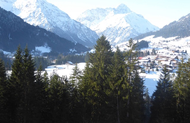 Vacation apartment/apartment for 2 guests with 55m² in Riezlern (270288)