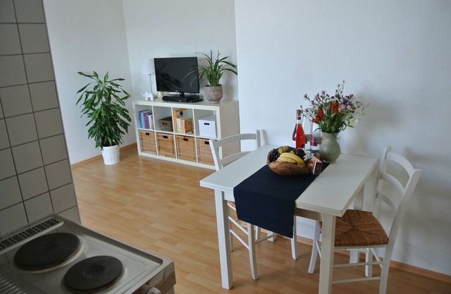Vacation apartment/apartment for 2 guests with 28m² in Rheinau (157951)