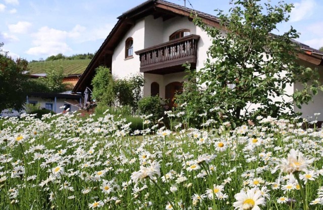 Vacation apartment Weinbergsliebe - Wonderful vacation apartment on the vineyard