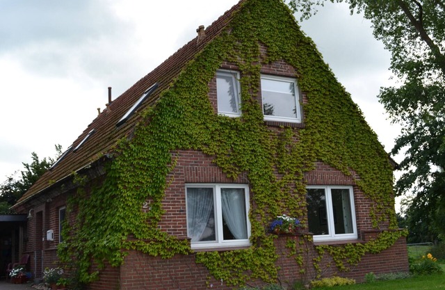 Vacation apartment/apartment for 4 guests with 85m² in Schwanewede (105316)