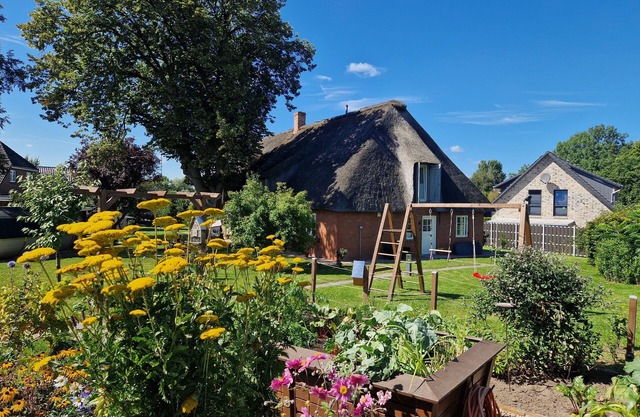 Vacation apartment Friesenwind