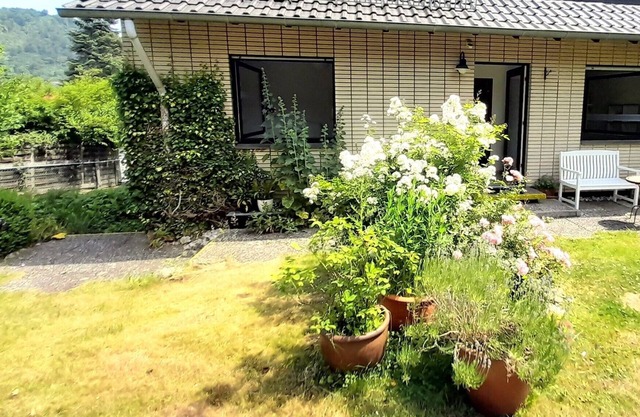 Vacation apartment 'Lentz' in the House for the Development of the Arts