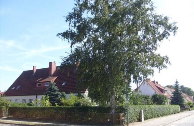 Vacation apartment Mirow (22205) - Holiday apartment