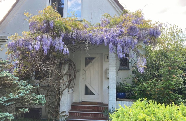 Vacation apartment near Volkspark, arenas/Trabrennbahn/DESY