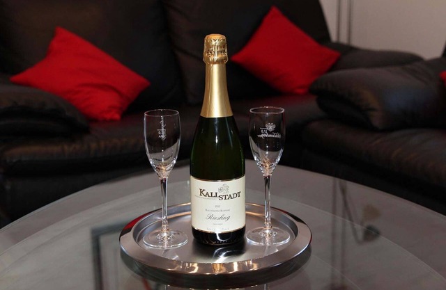 Vacation apartment Palatinate with e-bike in Carlsberg