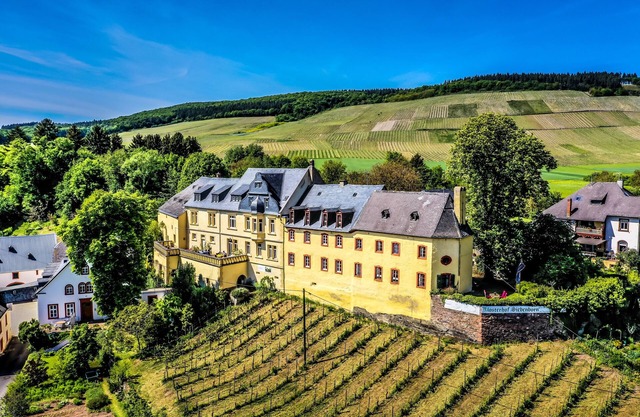 Vacation at the winery