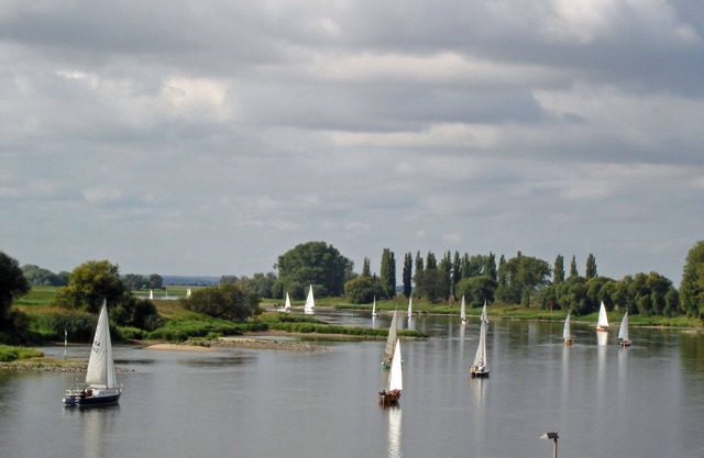Vacation apartment on the Elbe in Kleinwittenberg