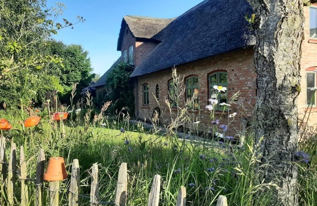 Vacation domicile Nordfriesland Pur