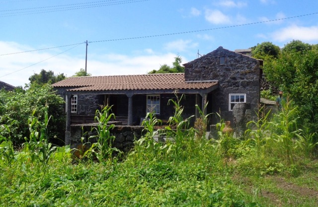 Vacation Home Pico Açôres