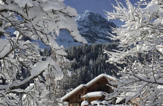 Vacation home Eigerhome – The Cottage in Grindelwald - 3 persons, 1 bedrooms