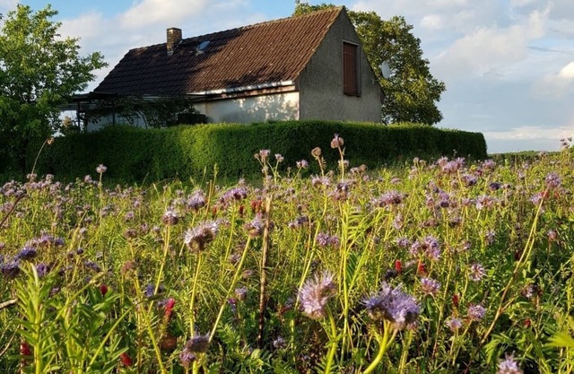 Vacation home for 2 guests with 45m² in Gransee (128356)