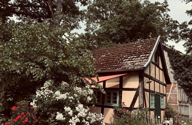 Vacation home for 3 guests with 60m² in Eydelstedt (166015)