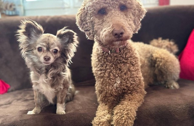 Vacation home for 3 guests with 25m² in Tanna (167992)