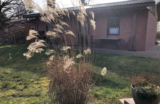 Vacation home for 4 guests with 54m² in Dahmen (272754)