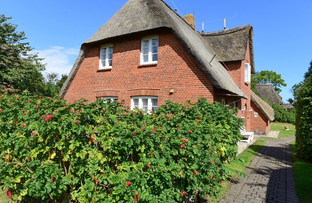 Vacation home for 6 guests with 82m² in Süderende (146213)