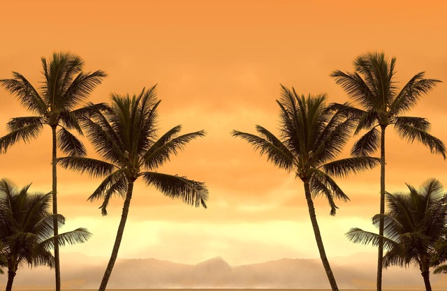 Vacation Home Joseph