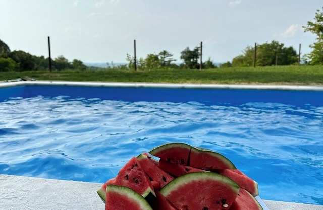 Vacation home with pool and sauna for families seeking peace and quiet. Pet friendly!