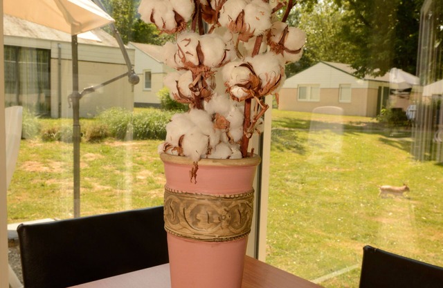 Vakantie Zuid Limburg