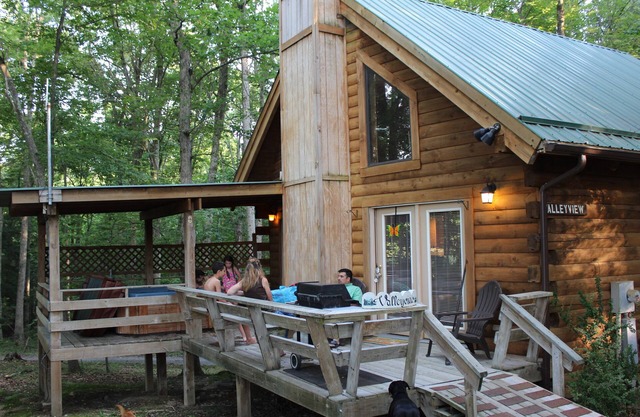Valley View Cabin with show-stopping vaulted ceilings!