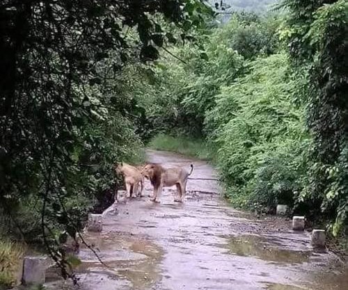 Van Vagdo Prakruti Nivas