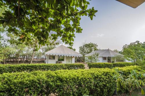 Varawal Leopard Camp