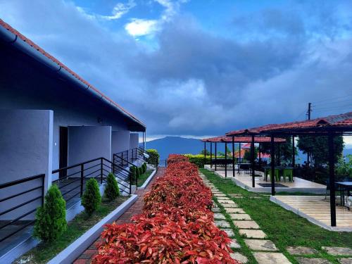 Vayu Resort - Kas Pathar