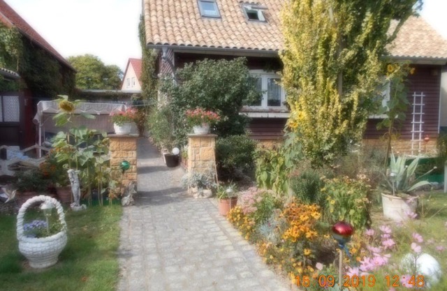 Vermiete sehr schönes Apartment in Dankerode im Harz