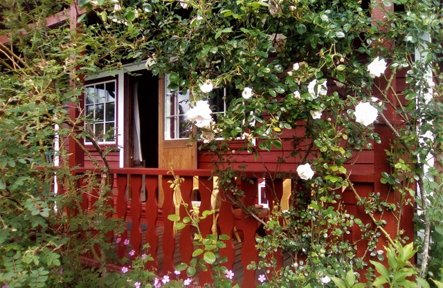 Very cozy Scandinavian log house in a quiet location on a large plot