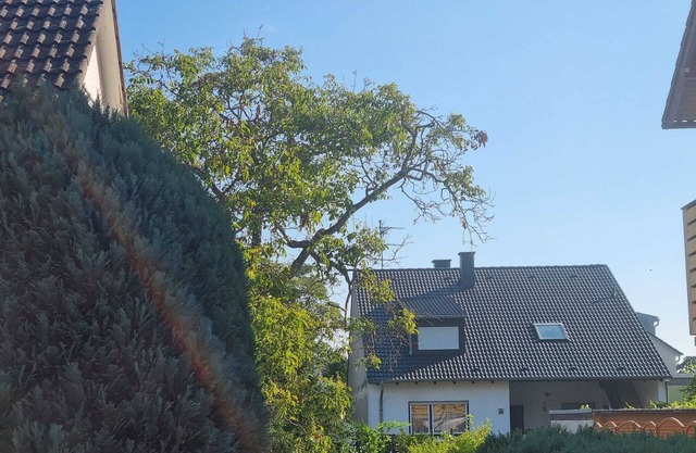 Very nice 3 room apartment with large terrace in Mannheim near Heidelberg