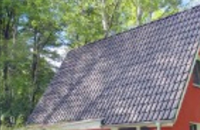 Very quiet, idyllic location in untouched nature!