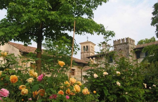 "Vicinia" with garden in the castle