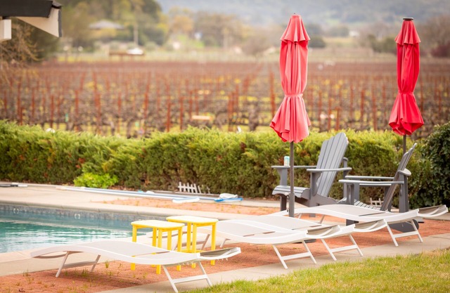 Views Galore! Wine Country Retreat - minutes from foodie paradise Yountville