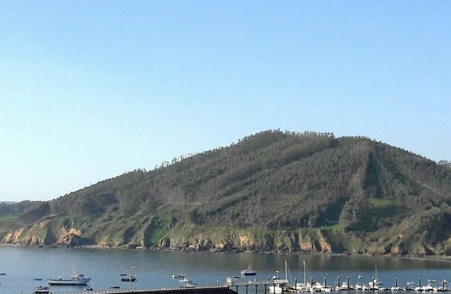 VIEWS TO THE SEA AND IN THE FIRST LINE OF THE BEACH